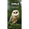 Owls: A Folding Pocket Guide to Familiar Species Worldwide