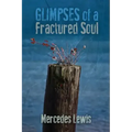 Glimpses of a Fractured Soul