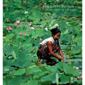 The Lotus Flower: A Textile Hidden in the Water