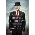 What Is Biblical Theology?: A Guide to the Bible's Story, Symbolism, and Patterns