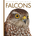 Falcons