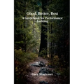 Good, Better, Best: A Guidebook for Performance Auditing