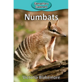 Numbats