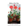 Collection of Short Stories