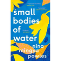 Small Bodies of Water