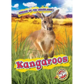 Kangaroos