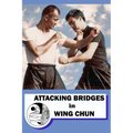 Attacking bridges in Wing Chun