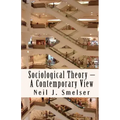 Sociological Theory - A Contemporary View: How to Read, Criticize and Do Theory