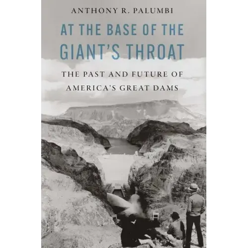 At the Base of the Giant's Throat: The Past and Future of America's Great Dams