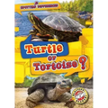 Turtle or Tortoise?