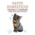 Gatos Domésticos Crianza y Consejos Para que Sean Felices