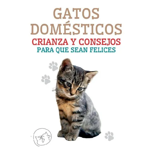 Gatos Domésticos Crianza y Consejos Para que Sean Felices