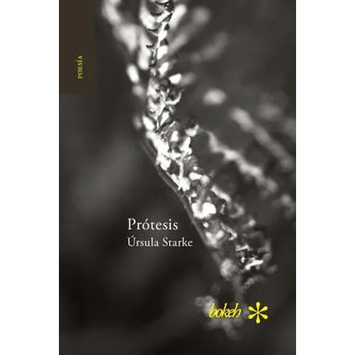 Prótesis. Escrituras 2007-2015