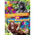 Baby Gorilla or Baby Orangutan?