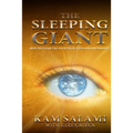 The Sleeping Giant: Clearing the Path to Success and Abundance