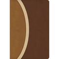 CSB Rainbow Study Bible, Brown Leathertouch (Limited Edition)
