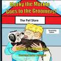 Morky the Morkie Goes to the Groomers!