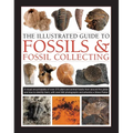 The Illustrated Guide to Fossils & Fossil Collecting: A Reference Guide to Over 375 Plant and Animal Fossils from Around the Globe and How to Identify