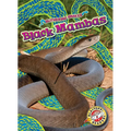 Black Mambas