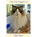 Ollie The Ragdoll Cat: A Book for Cat Lovers of All Ages