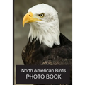 North American Birds Photo Book: 40 Different Bird Photos With Identification Names For Alzheimer & Dementia Patients To Help With Memories and Memory