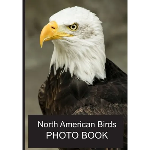 North American Birds Photo Book: 40 Different Bird Photos With Identification Names For Alzheimer & Dementia Patients To Help With Memories and Memory