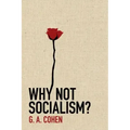 Why Not Socialism?