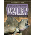 Why Do Mudskippers Walk?: And Other Curious Fish Adaptations