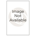 Encyclopedia of Native American Jewelry: A Guide to History, People, and Terms