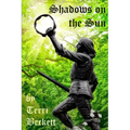 Shadows on the Sun