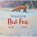 The Secret Life of the Red Fox