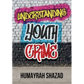 Understanding Youth Crime