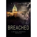 Breached: A Mystic Assassin Novella
