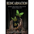 Reincarnation: Afterlife: Life After Death - What Happens When You Die? Rebirth or Game Over?