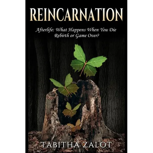 Reincarnation: Afterlife: Life After Death - What Happens When You Die? Rebirth or Game Over?