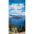 Crater Lake National Park Wildlife