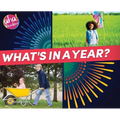 What's in a Year?