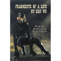 Fragments Of A Life by Can Wu