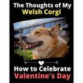 The Thoughts of My Welsh Corgi: How to Celebrate Valentine's Day