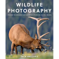 Wildlife Photography: Proven Techniques for Capturing Stunning Digital Images