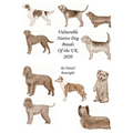 Vulnerable Native Dog Breeds: of the UK 2020