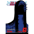 Bleach, Vol. 63