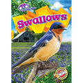 Swallows