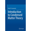 Introduction to Condensed Matter Theory