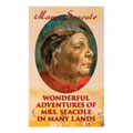 Wonderful Adventures of Mrs. Seacole in Many Lands: Memoirs of Britain's Greatest Black Heroine, Business Woman & Crimean War Nurse