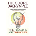 The Pleasure of Thinking