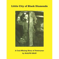 Little City of Black Diamonds: A Coal -Mining Story of Yesteryear