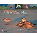 Birds of Cape May