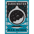 Darkwater: Voices from Within the Veil (of the Diaspora)