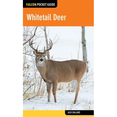 Whitetail Deer